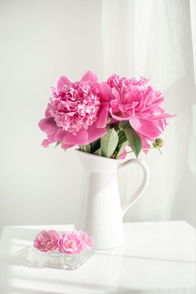 Pruning Practices for Long-Term Peony Health: Expert Tips for Vigorous ...